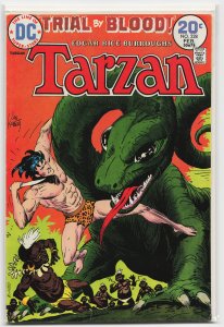 Edgar Rice Burroughs' Tarzan #228 (1974)