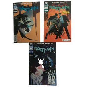 Batman #51 #52 #53 Set Mr. Freeze Tom King Lee Weeks 2018 DC Comics