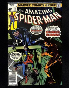 Amazing Spider-Man #175 Punisher!