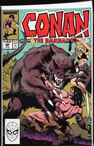 Conan the Barbarian #224 (1989) Conan