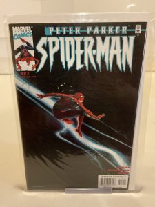 Peter Parker: Spider-Man #27  2001  9.0 (our highest grade)