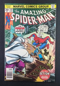 Amazing Spider-Man (1963) #163 FN+ (6.5) Kingpin
