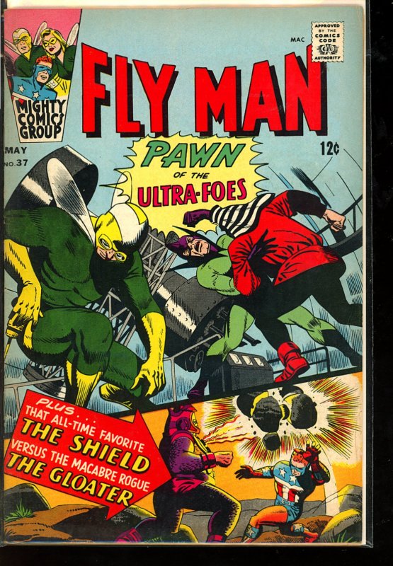 Fly Man #37 (1966)