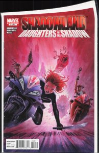 Shadowland: Daughters of the Shadow #2 (2010)