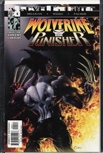 Wolverine/Punisher #4 (2004) Punisher