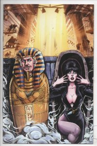 ELVIRA MEETS VINCENT PRICE 1 K Mistress of the Dark VF+ Samu virgin Variant 2021