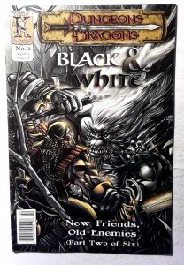 Dungeons & Dragons: Black & White #2 (2002) Kenzer And Company 1st Print Comic