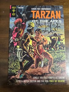 Edgar Rice Burroughs' Tarzan #151 (1965)