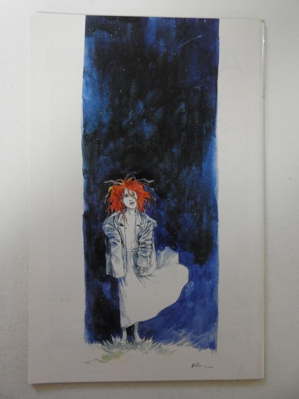 Musings #1 VF Condition!