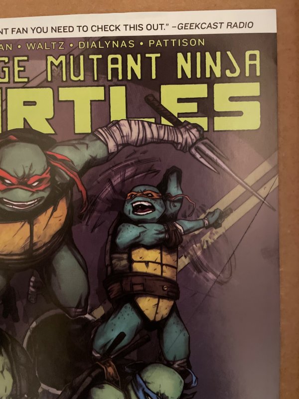 Teenage Mutant Ninja Turtles 55