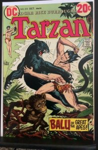 Tarzan #213 (1972)