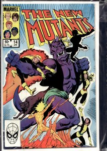 The New Mutants #14 (1984) New Mutants