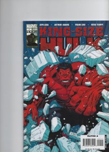 Hulk: Red & Green #1 (2009)