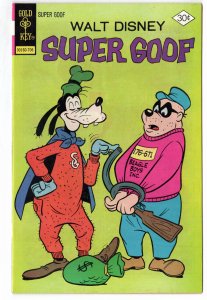 Super Goof #42 (1965)