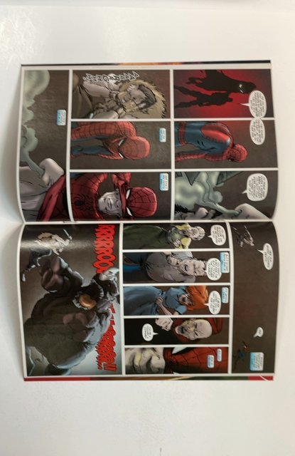 Spider-Man: Reign #4 (2007)