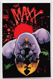 The Maxx: Maxximized #1 Variant Cover (2013) The Maxx