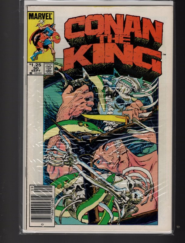 Conan the King #25,26,27,28,30,31 (1984)