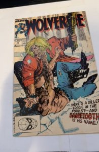 Wolverine #10 (1989) sabretooth is his name