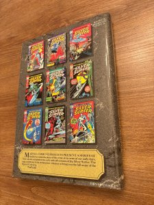 Marvel Masterworks Silver Surfer Volume #19 Stan Lee Hardcover Comic Book 9 J387