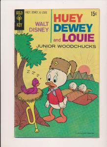 GOLD KEY Comics Huey Dewey Louie & Junior Woodchucks #8 VG/FN 1971 15c (B21) 