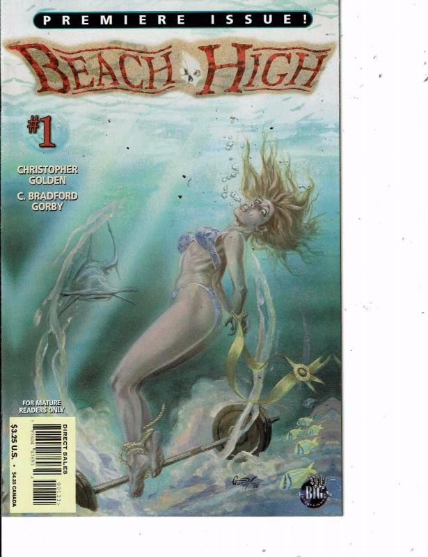 Lot Of 2 Comic Books Big Beach High #1 and Image Axcend #1  MS12
