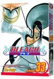 Bleach Vol 33 Viz Media LLC 2010 GN