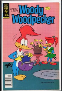 Walter Lantz Woody Woodpecker #176 (1979)