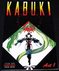 Kabuki: Circle Of Blood #1 (1995)
