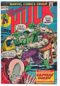The Incredible Hulk #164 (1973) Hulk