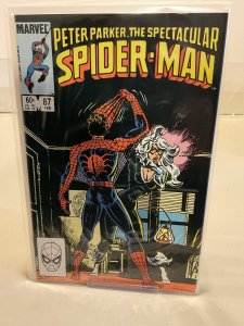 Spectacular Spider-Man #87  1984  VF  Black Cat!