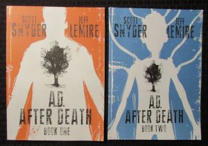 2016 A.D. AFTER DEATH Book One &Two by Scott Snyder & Jeff Lemire FVF/VF- 