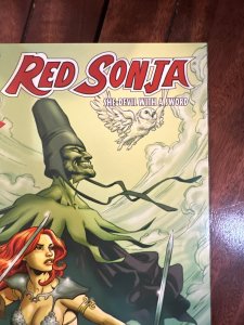 Red Sonja #28 Homs Cover (2007)