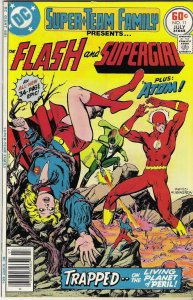 Super-Team Family #1-15 (1975)  complete set  average grade VF 8.0  see desc.