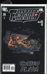 Justice League of America #11 (2007) Vixen