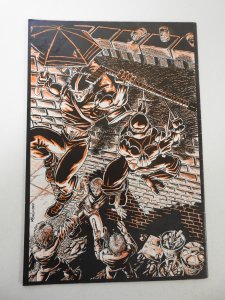 Teenage Mutant Ninja Turtles: Raphael #1 (1985) VG Condition moisture damage