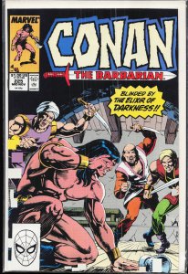 Conan the Barbarian #225 (1989) Conan