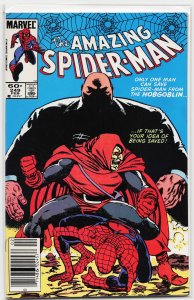 The Amazing Spider-Man #249 (1984) Spider-Man
