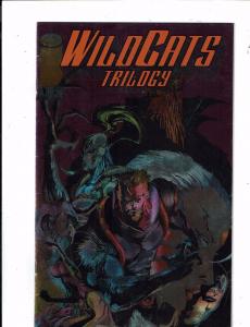 13 Wildcats Image Comics # 1 (2) 2 (2) 3 4 (2) 5 Trilogy # 1 (2) 2 # 1 & TPB RC3