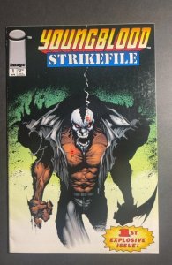 Youngblood Strikefile #1 Variant Cover (1993)