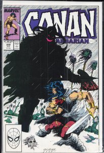 Conan the Barbarian #209 (1988) Conan