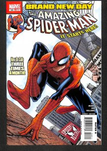 The Amazing Spider-Man #546 (2008)