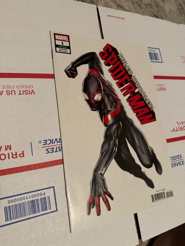 Miles Morales: Spider-Man #1 Granov Cover (2019)