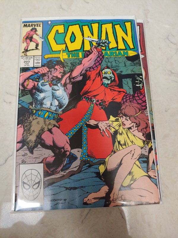 Conan the Barbarian #203 (1988)