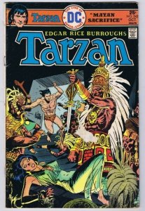 Tarzan #242 ORIGINAL Vintage 1975 DC Comics  