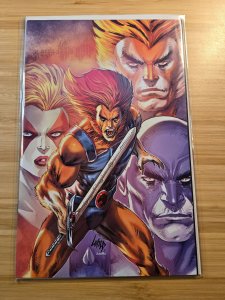 Thundercats #1 Cover HH (2024) virgin variant