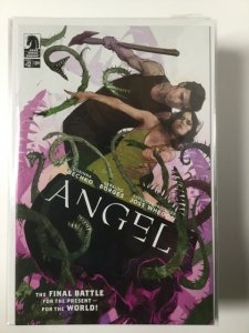 Angel Season 11 #12 (2017) HPA