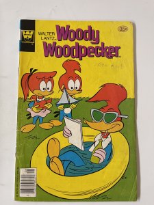 Walter Lantz Woody Woodpecker #169 -VG+ ( Whitman)