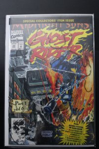 Ghost Rider #28 Newsstand Edition (1992)