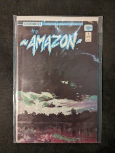 The Amazon #3 (1989)