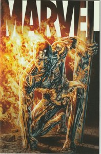 Marvel # 6 Bermejo 1:25 Variant Cover NM/MT Marvel Silver Surfer Cover